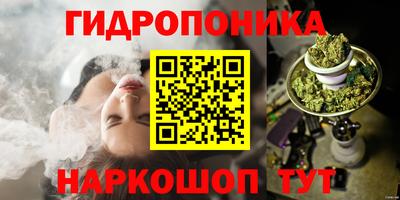 индика Бузулук
