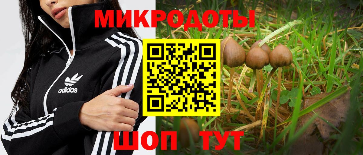 Кинель  закладки  Псилоцибиновые грибы MAGIC MUSHROOMS  Вход с VPN  Галлюциногенные грибы GOLDEN TEACHER 